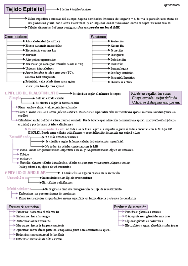 Miniatura del documento Histologia-2glomarulo.pdf