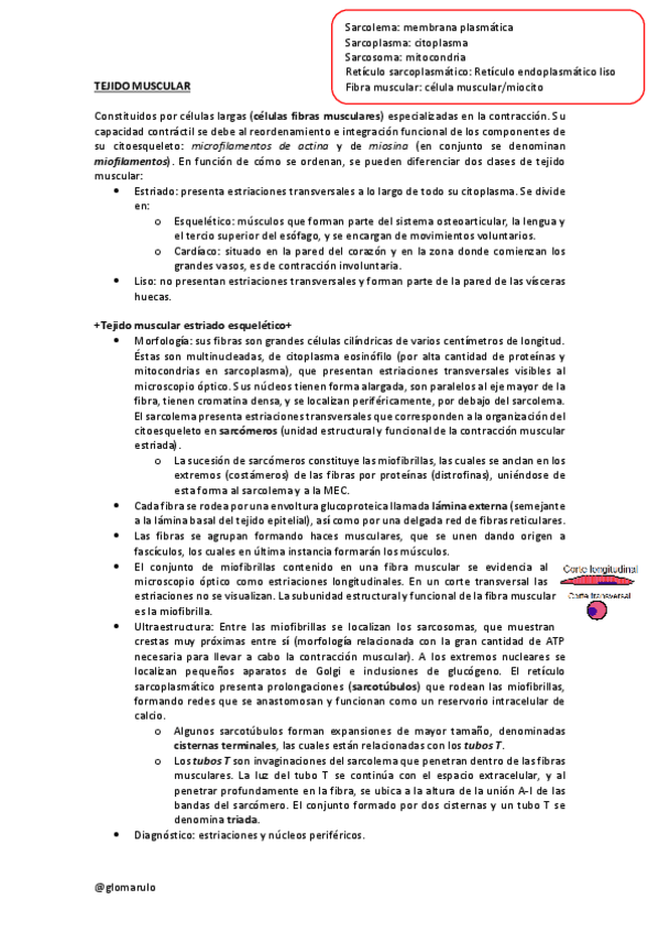 Miniatura del documento Histologia-5Aglomarulo.pdf