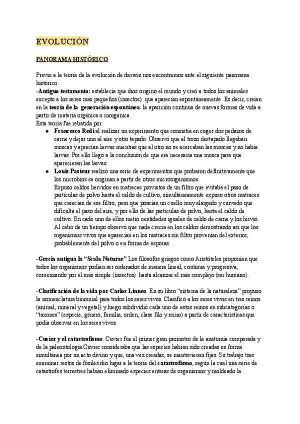 Miniatura del documento APUNTES-EVOLUCION.pdf