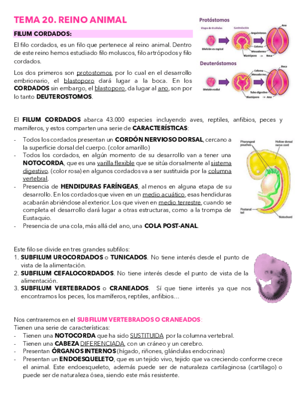 Miniatura del documento TEMA-20.pdf