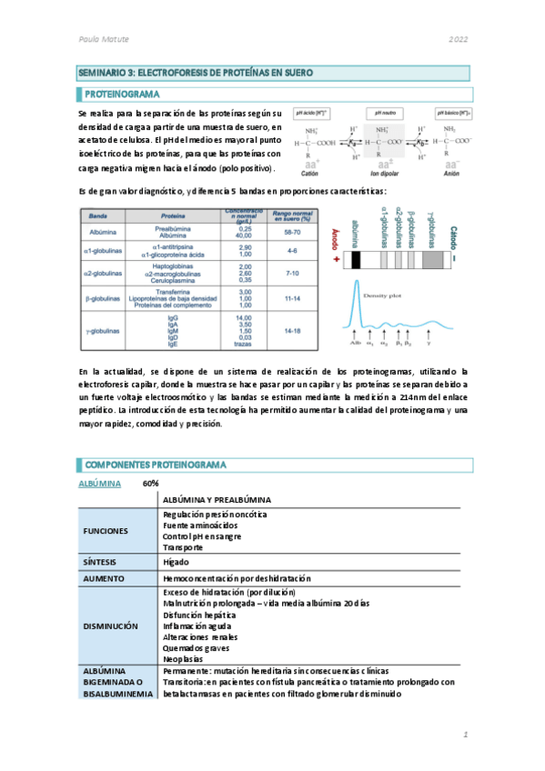 Miniatura del documento SEMINARIO-3.pdf