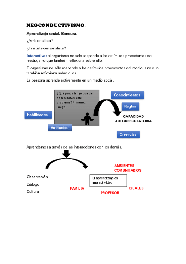Miniatura del documento NEOCONDUCTIVISMO.pdf