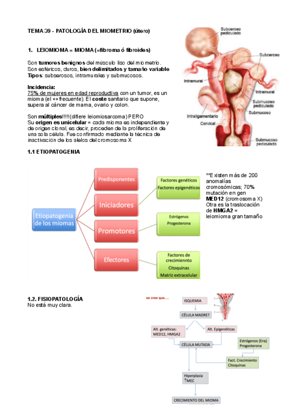 Miniatura del documento tema-39-Patologia-del-miometrio.pdf