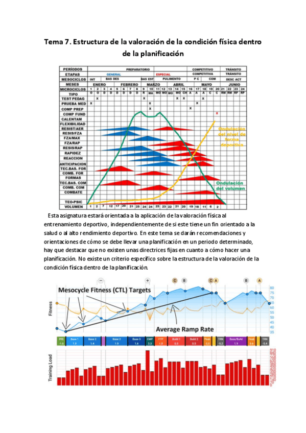 Miniatura del documento Tema-7.pdf