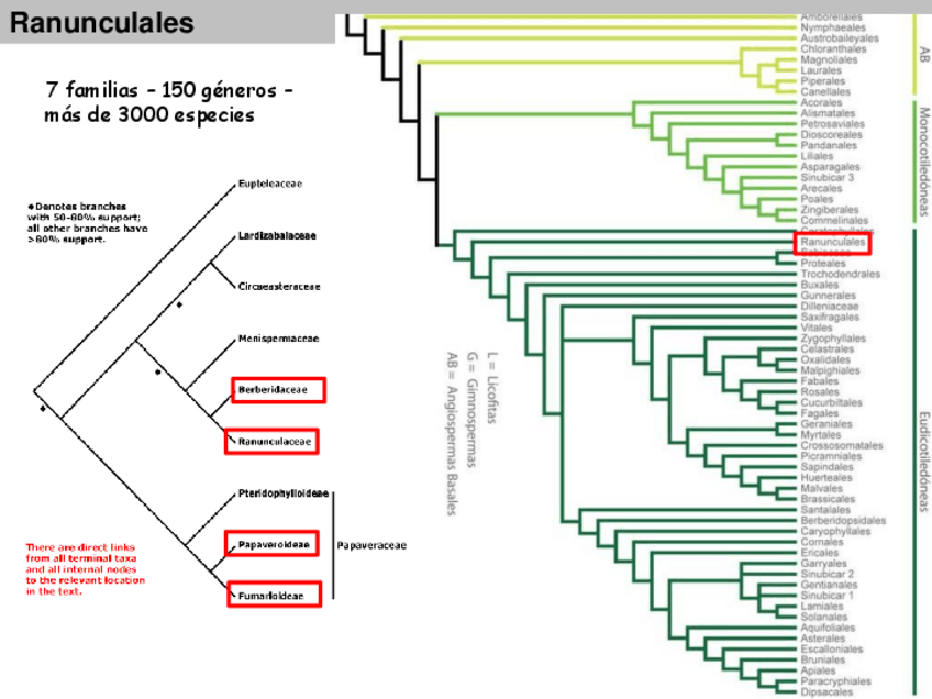 Miniatura del documento Tema-9.pdf