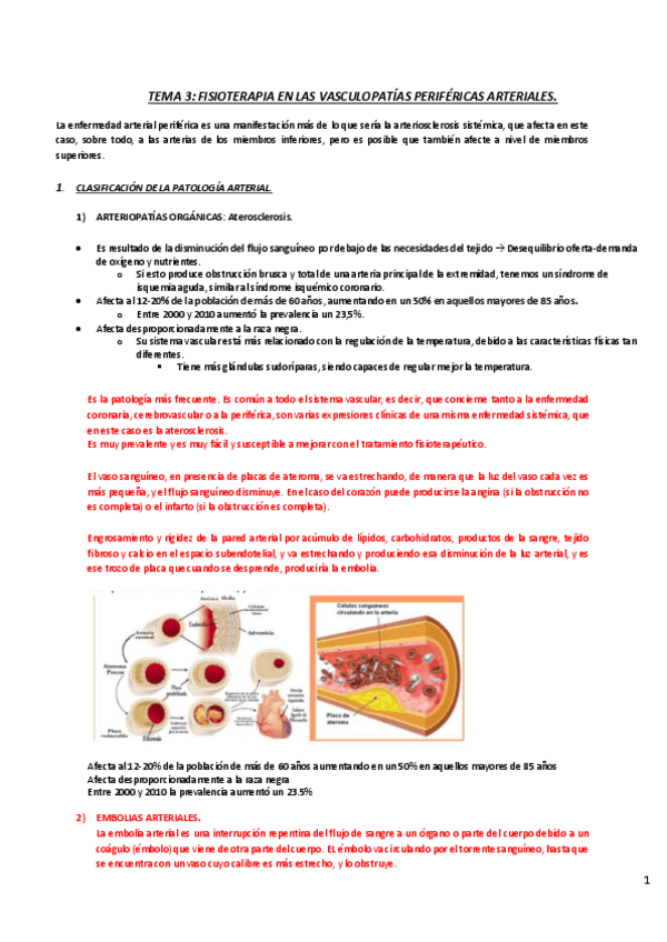 Miniatura del documento CARDIO-Tema-3.pdf