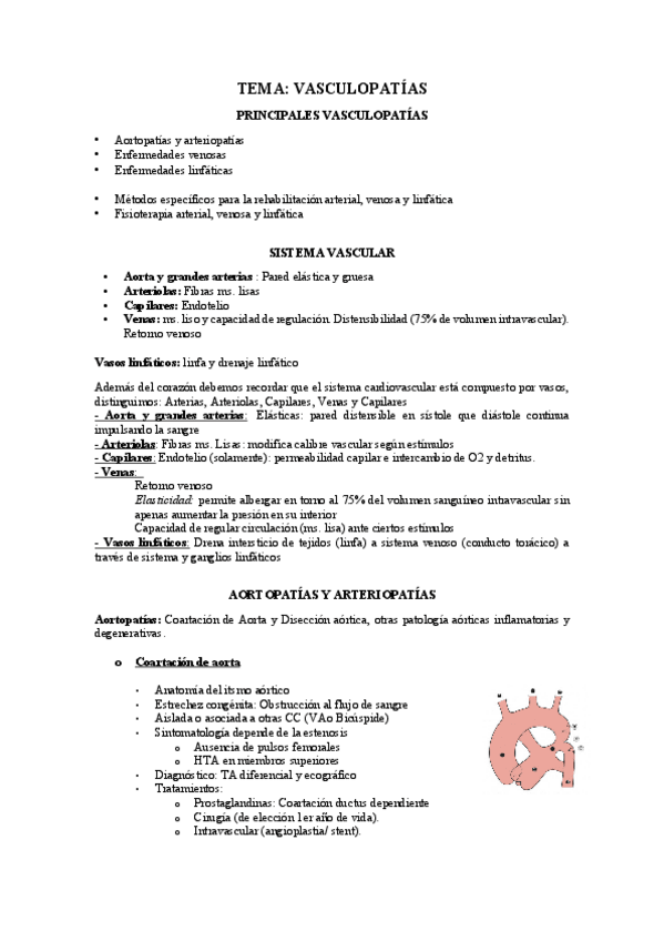 Miniatura del documento Vasculopatias.pdf