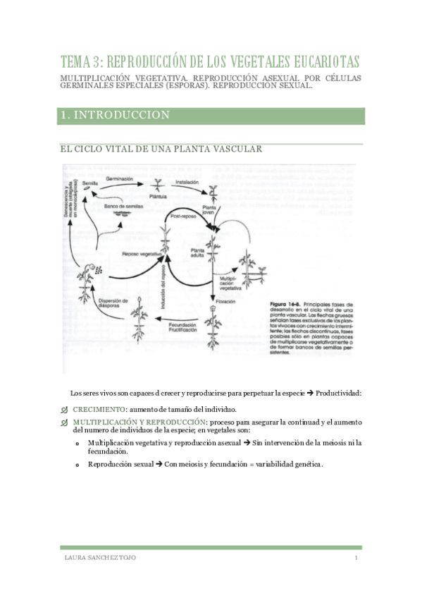 Miniatura del documento Botanica-Tema-3.pdf