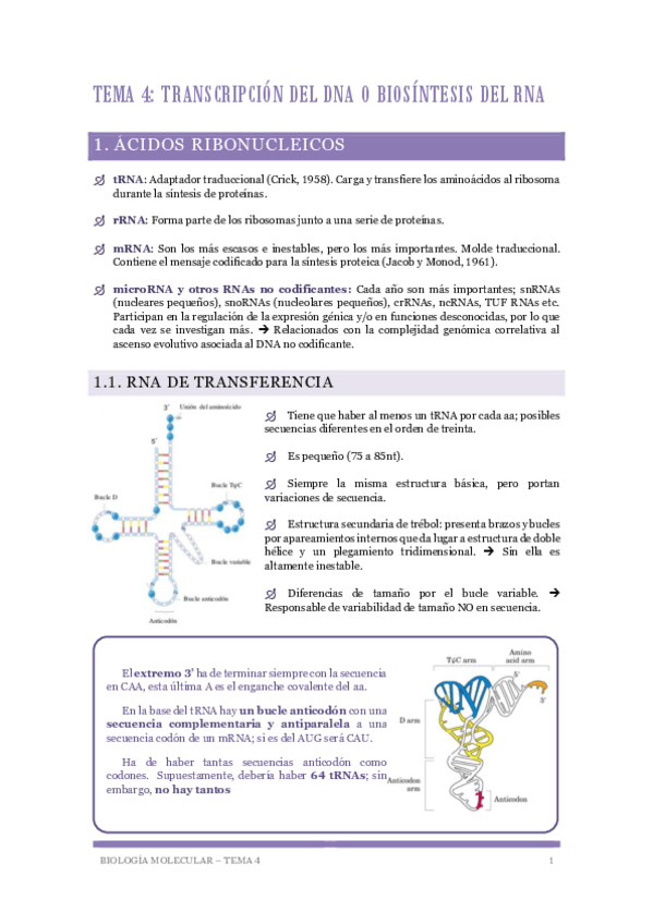 Miniatura del documento Biologia-Molecular-Tema-4-La-transcripcion.pdf