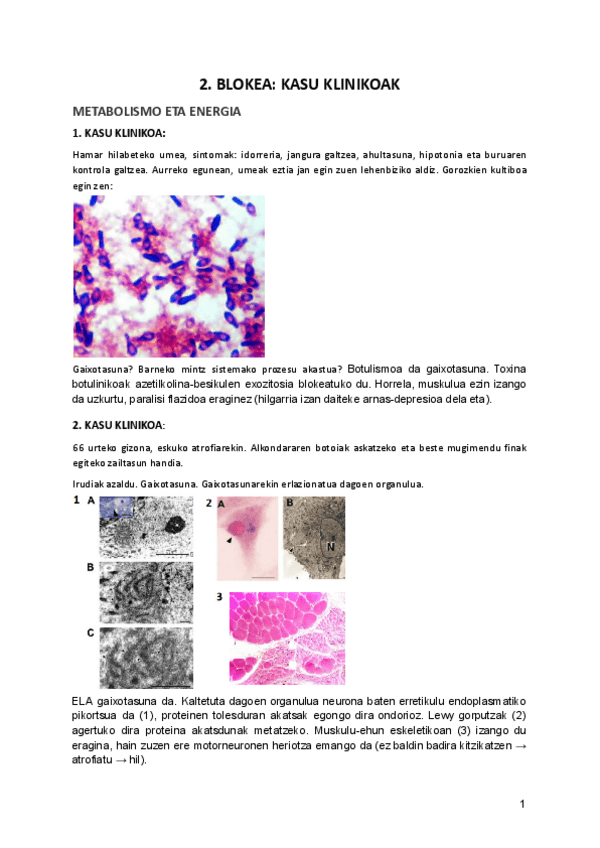 Miniatura del documento 2.pdf