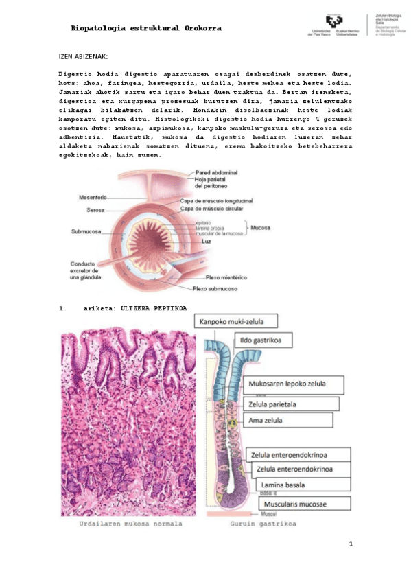Miniatura del documento 2.pdf