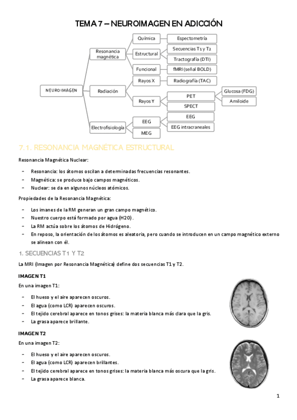 Miniatura del documento T7-PERSPECTIVAS.pdf