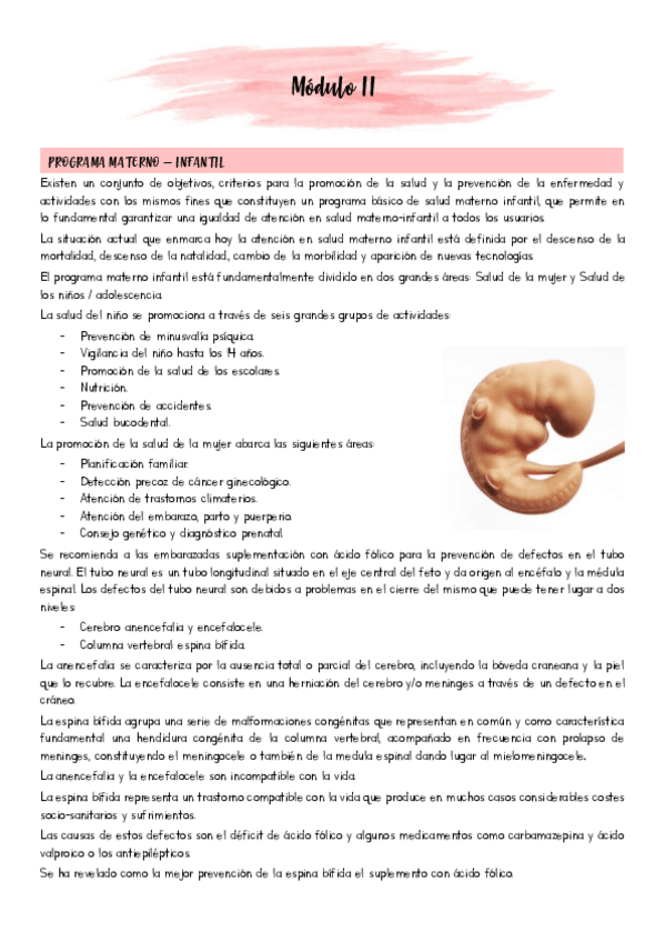 Miniatura del documento Modulo-II.pdf