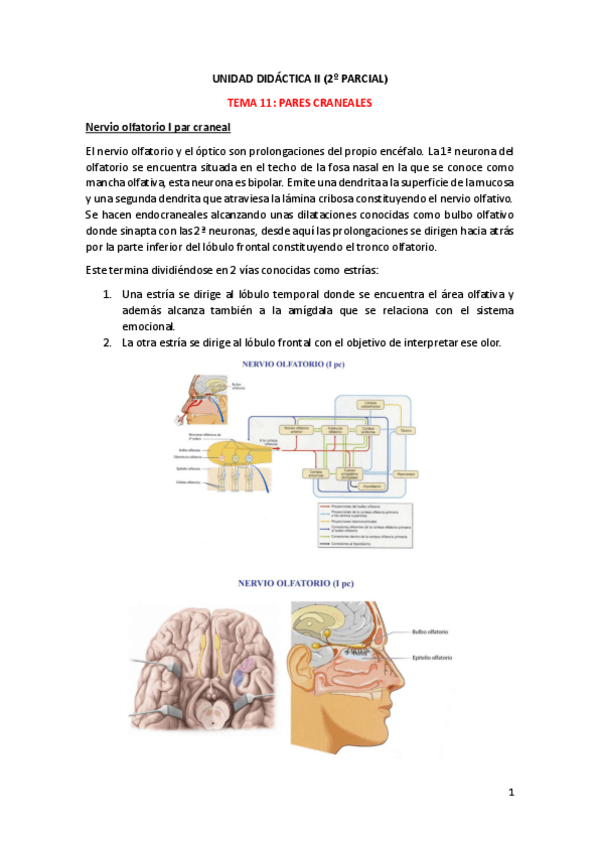 Miniatura del documento 2o-paricla-anatomia-IIc.pdf