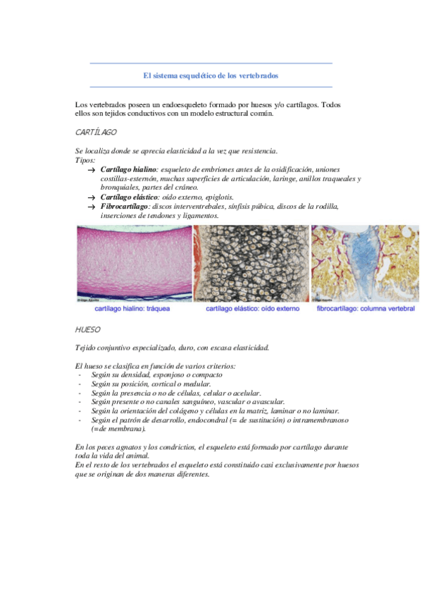 Miniatura del documento Leccion-30-31.pdf