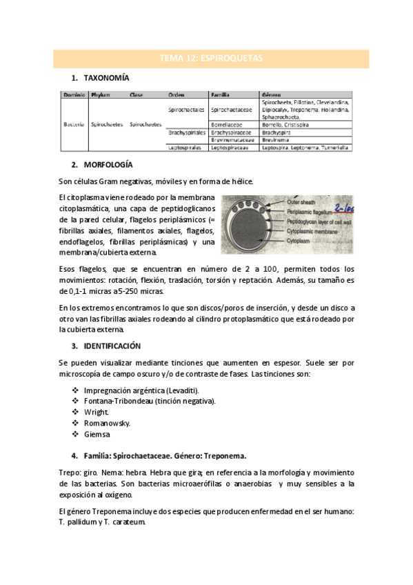 Miniatura del documento TEMA-12.pdf