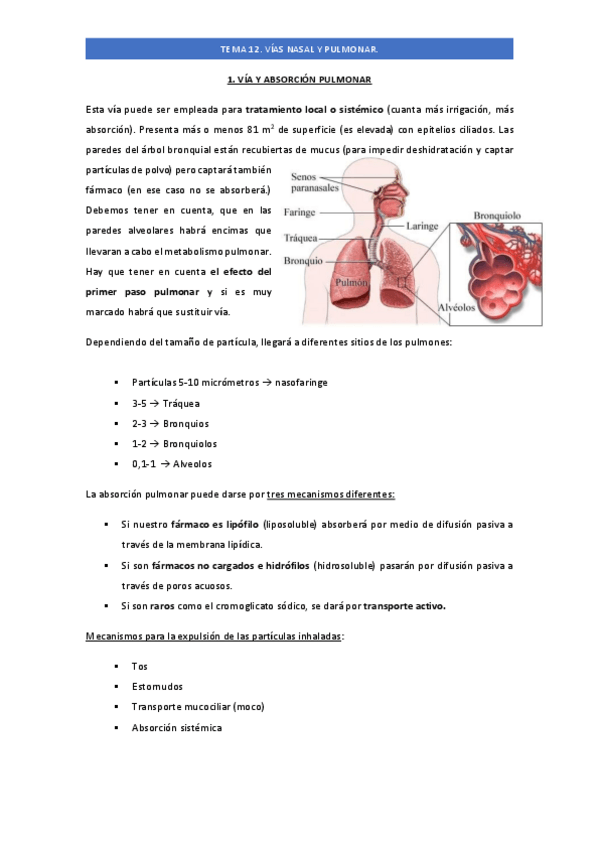 Miniatura del documento Tema-12.pdf
