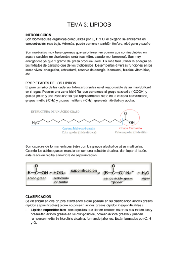 Miniatura del documento TEMA-3-BIOQUIMICA.pdf