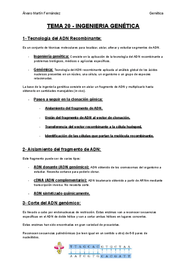 Miniatura del documento TEMA-20-INGENIERIA-GENETICA.pdf