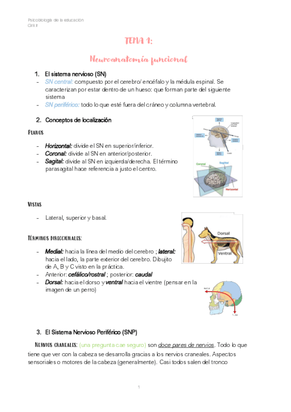 Miniatura del documento PSICOBIOLOGIA-WUOLAH-ENTERO.pdf