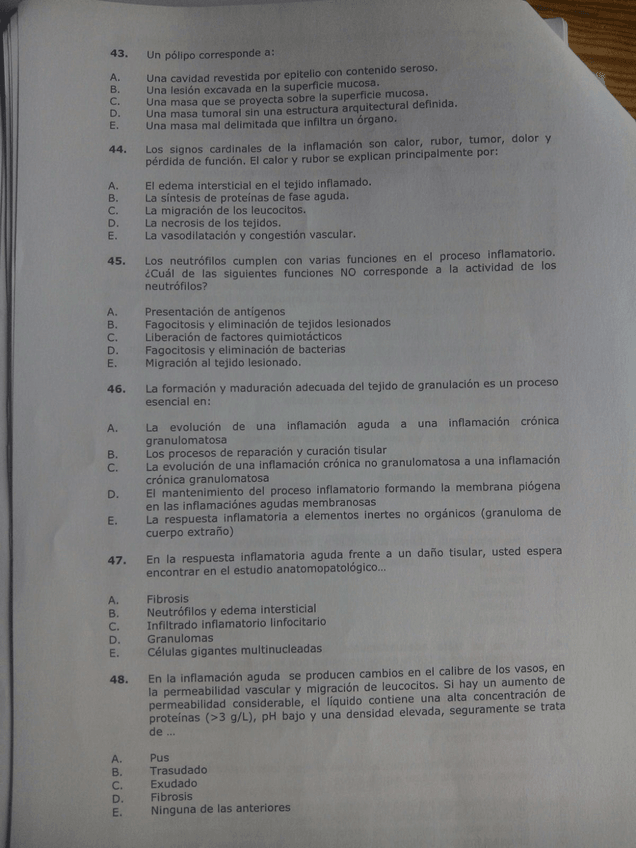 Miniatura del documento 7..jpg
