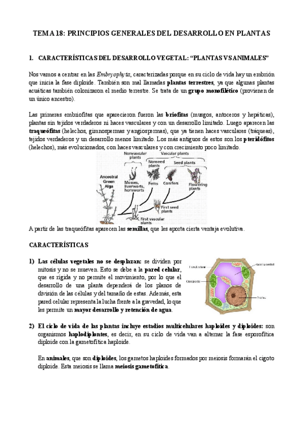 Miniatura del documento Tema-18-biologia-del-desarrollo.pdf