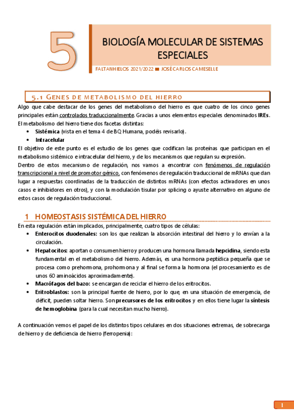 Miniatura del documento 5.pdf