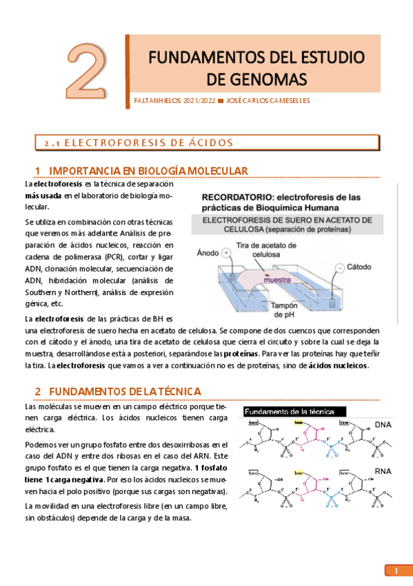 Miniatura del documento 2.pdf