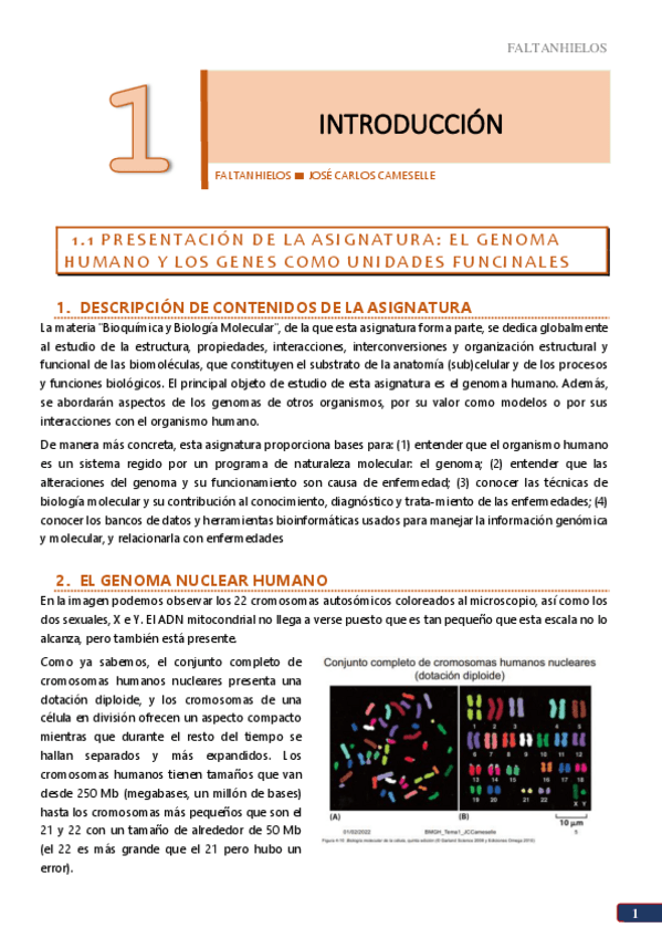 Miniatura del documento 1.pdf