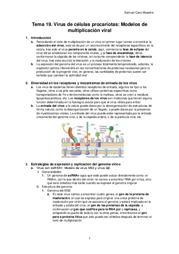 Miniatura del documento H.pdf