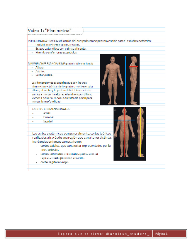 Miniatura del documento VIDEO-1.pdf