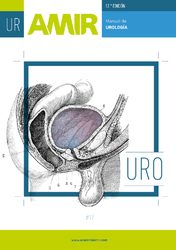 Miniatura del documento MANUAL-AMIR-DE-UROLOGIA-12-EDICION.pdf