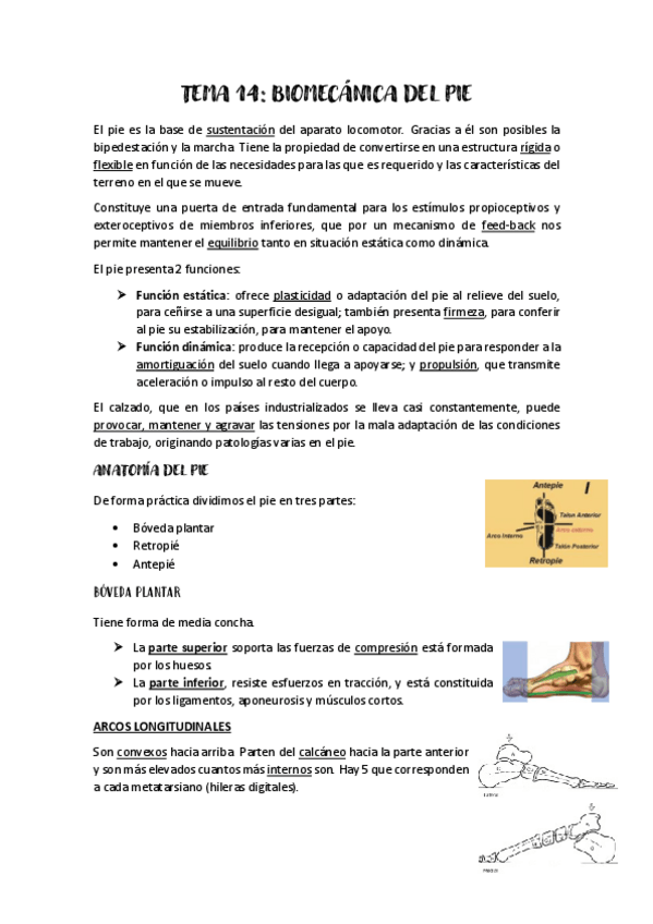 Miniatura del documento BIOMECANICA-T14.pdf