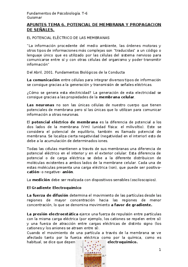 Miniatura del documento Apuntes tema 6- PSICOBIOLOGÍA.docx