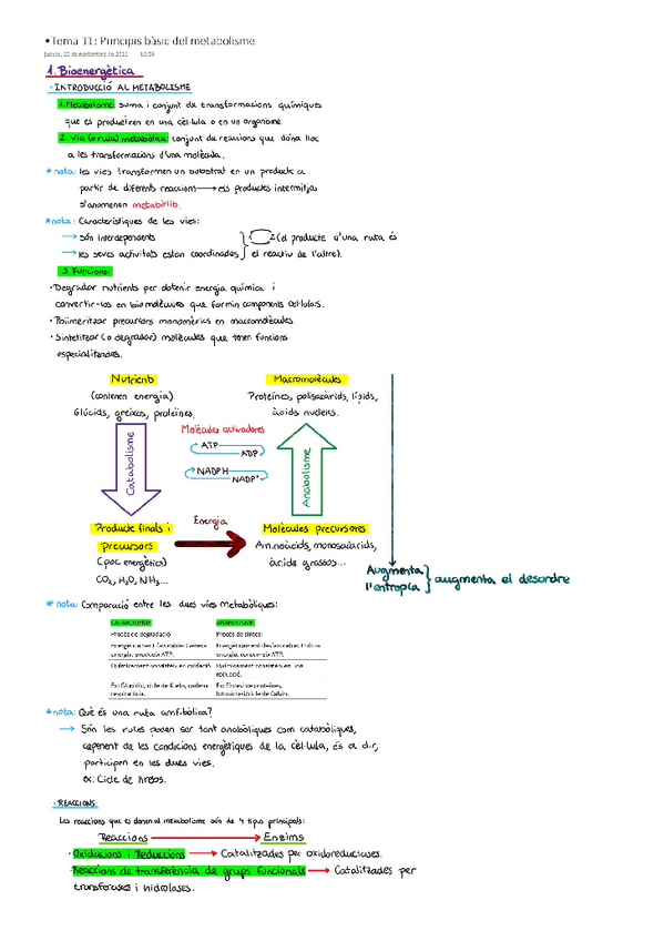 Miniatura del documento Tema-11Metabolisme-i-bioenergia.pdf