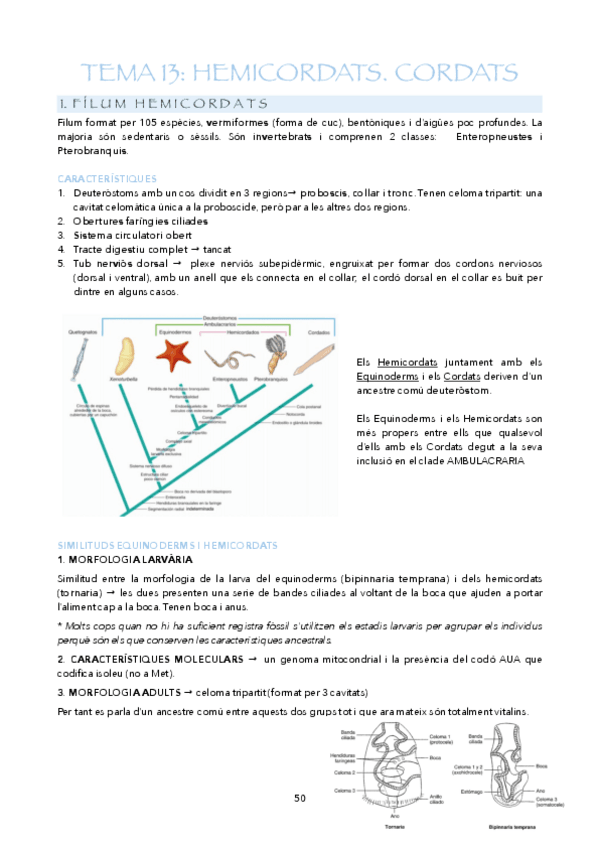 Miniatura del documento APUNTS-T13-17.pdf