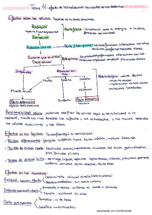 Miniatura del documento Tema-11.pdf
