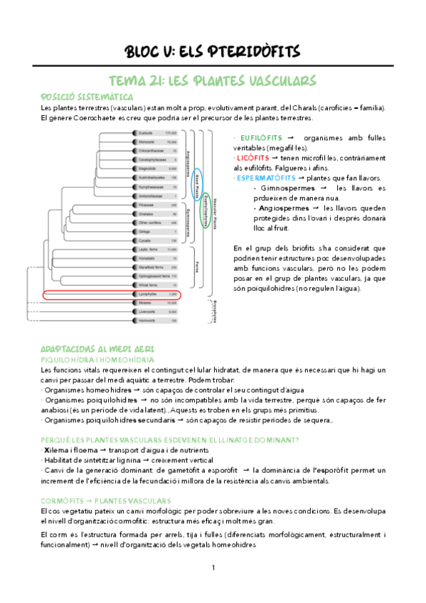 Miniatura del documento Temes-21-24.pdf