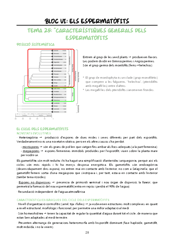 Miniatura del documento Temes-25-27.pdf