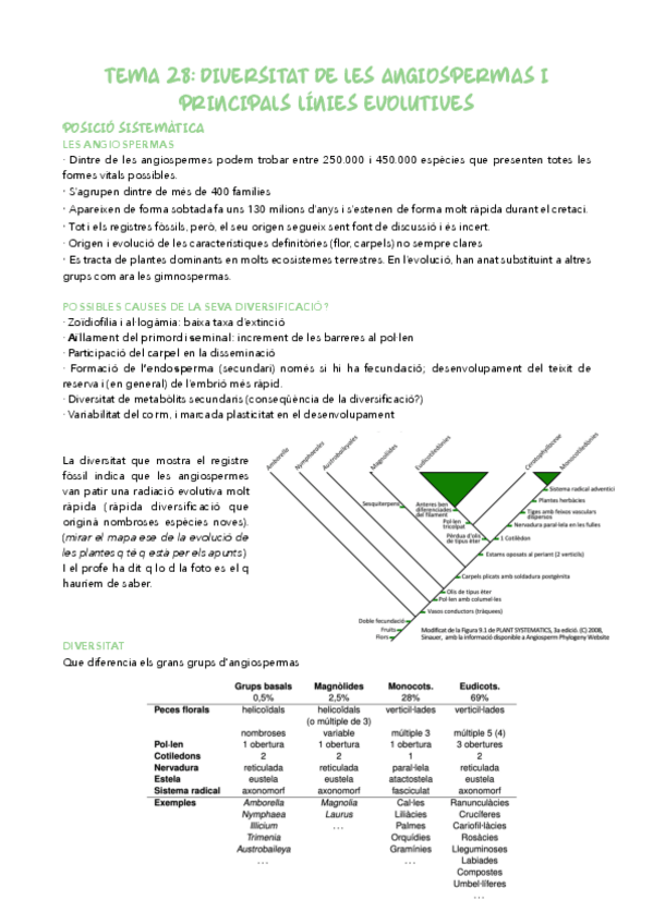 Miniatura del documento Temes-28-31.pdf