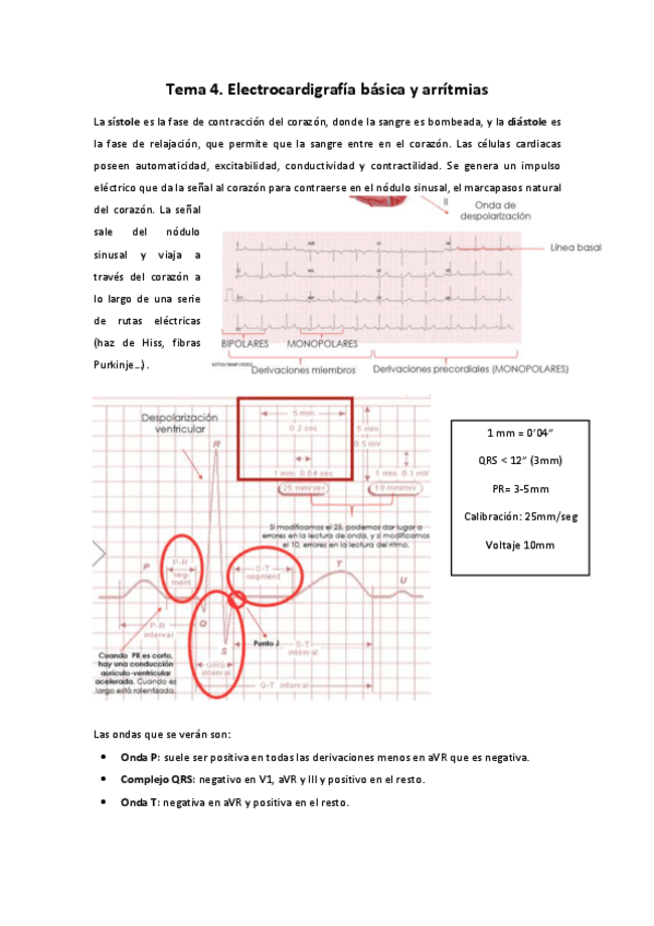 Miniatura del documento Tema-4.pdf