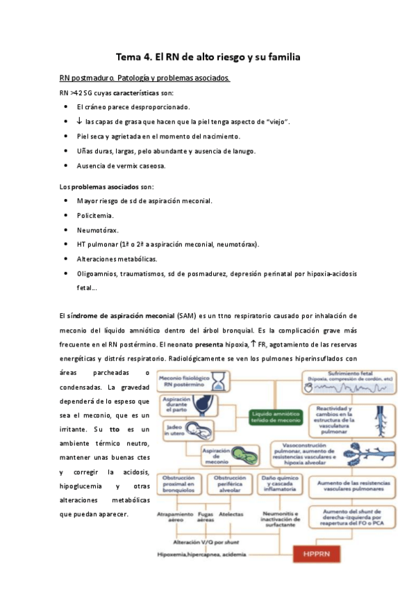 Miniatura del documento Tema-4.pdf