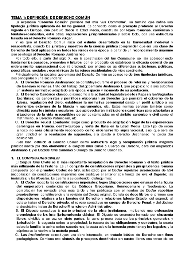 Miniatura del documento TEMARIO-DERECHO-COMUN-EUROPEO-.pdf