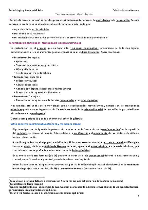 Miniatura del documento embriología.pdf