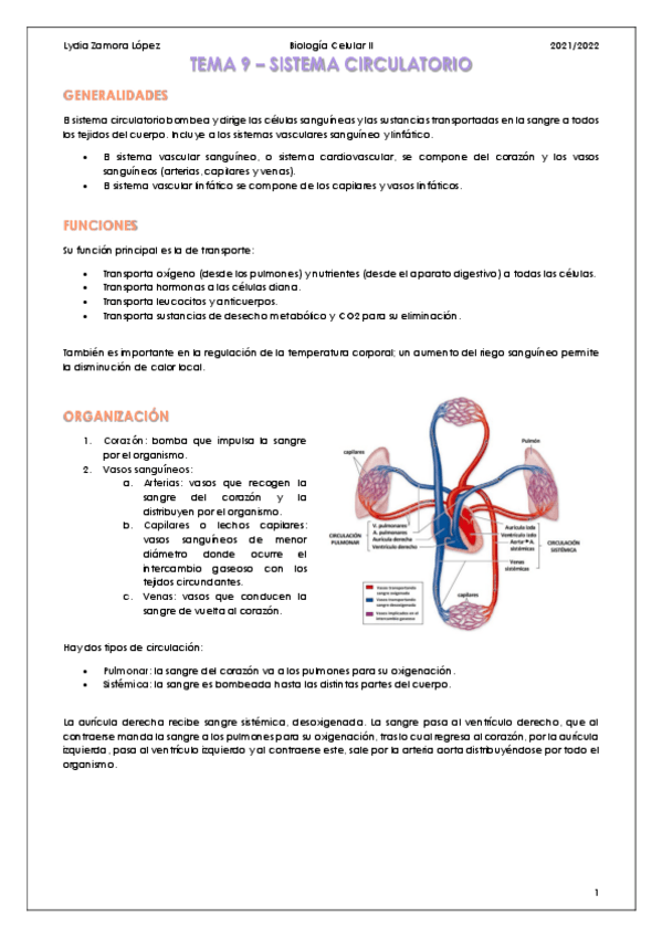 Miniatura del documento Tema-9-Sistema-circulatorio.pdf