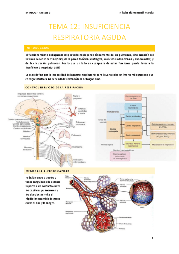 Miniatura del documento Anestesia-T12.pdf