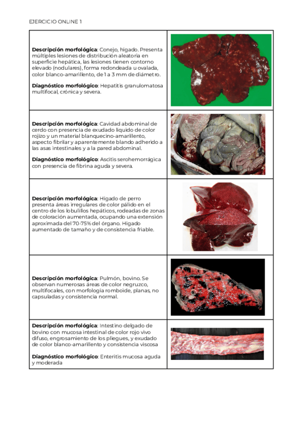 Miniatura del documento EJERCICIO-ONLINE-1.pdf