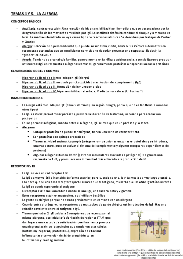 Miniatura del documento TEMAS-4-Y-5.pdf