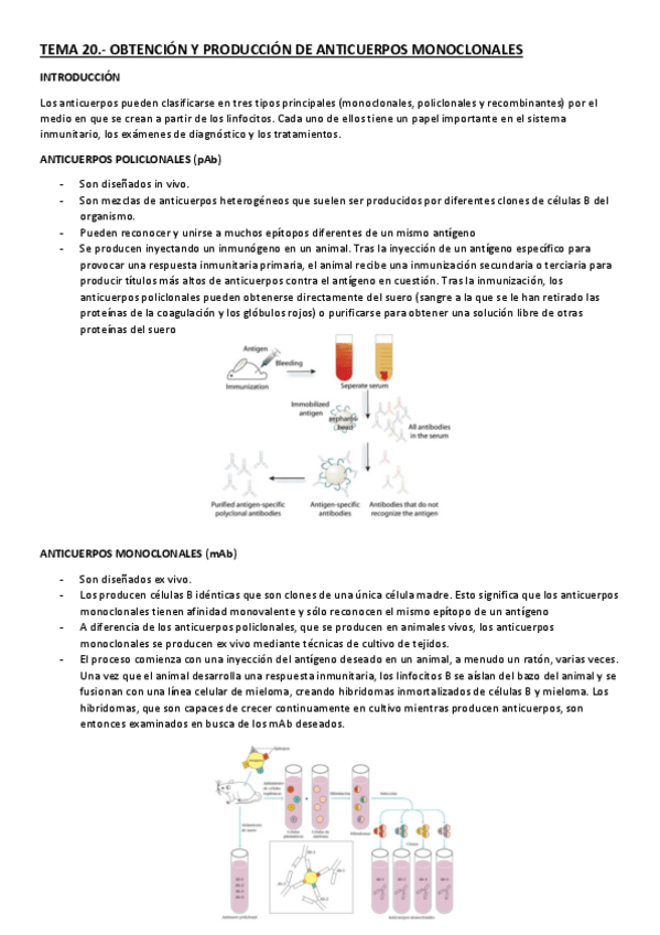 Miniatura del documento TEMA-20.pdf