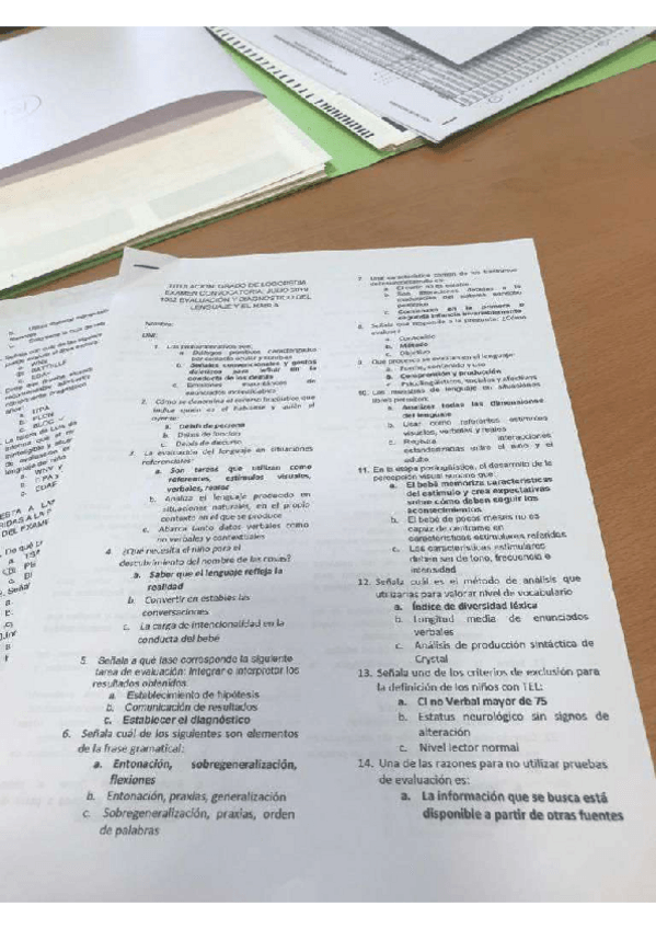 Miniatura del documento EXAMEN-HABLA-JULIO-2019.pdf